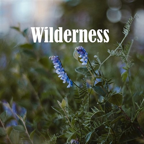 Wilderness D. Watson