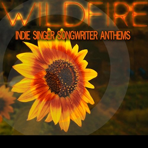 Wildfire: Indie Singer Songwriter Anthems Hannah Miller, Ehren Ebbage