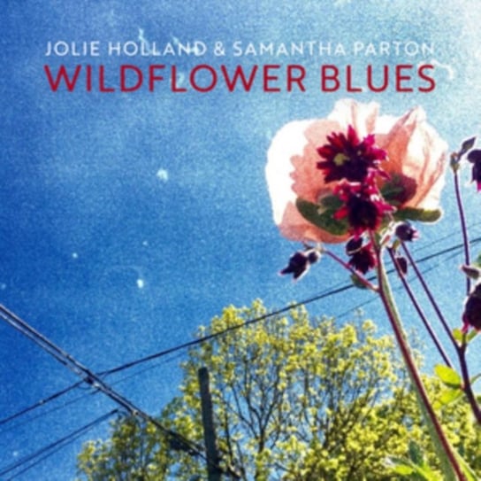 Wildflower Blues Holland Jolie, Parton Samantha