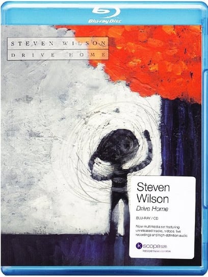 Wilson Steven: Drive Home (Limited Edition) Wilson Steven