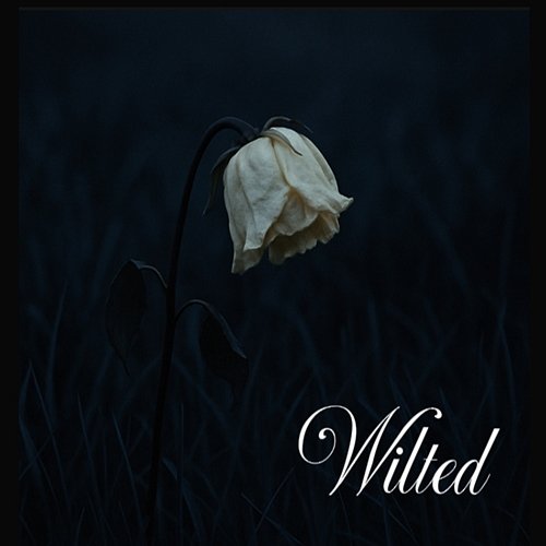 Wilted k4sh