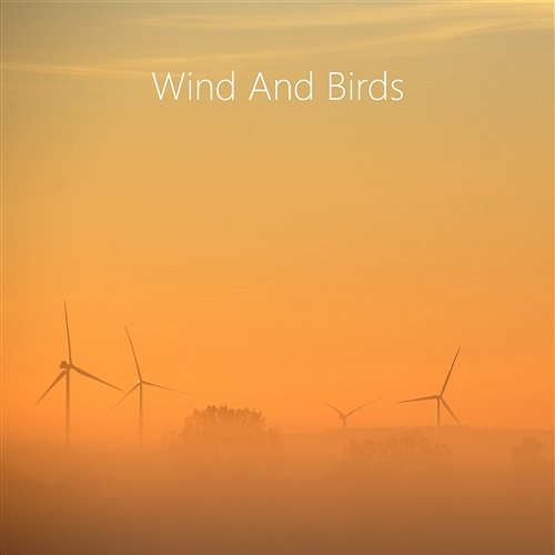 Wind and Birds Relax Sound. World Nature Music for Sleep, Relax and Reiki Zen Meditation. Reiki Music to Sleep