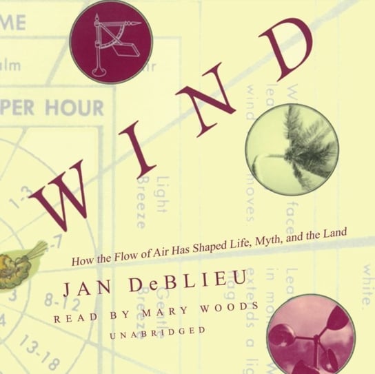 Wind - audiobook DeBlieu Jan