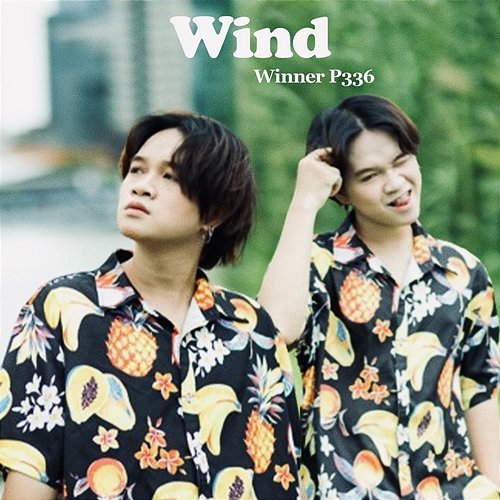 Wind Winner P336, P336 Band & MCV Music