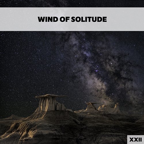 Wind Of Solitude XXII Various Artists