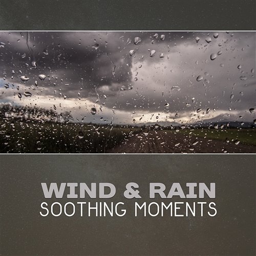 Wind & Rain: Soothing Moments – Music Therapy, Deep Mindfulness and Relaxation, Serenity, Peaceful Backround, Sleep & Spa, Natural Stress Relief Various Artists