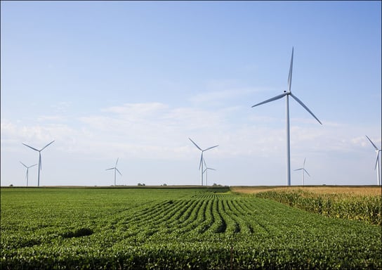 Wind Turbines in rural Missouri., Carol Highsmith - plakat 100x70 cm Galeria Plakatu