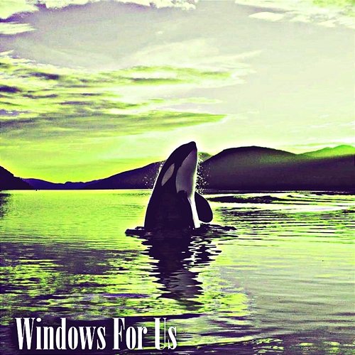 Windows for Us Ryan Damein