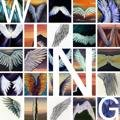 Wing Big Scary