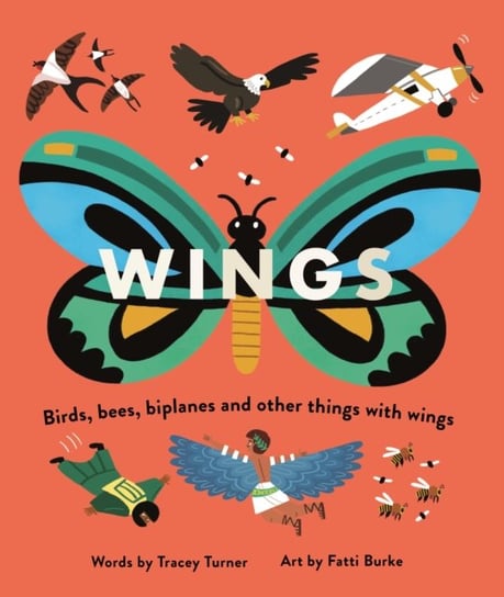 Wings: Birds, Bees, Biplanes and Other Things with Wings Turner Tracey
