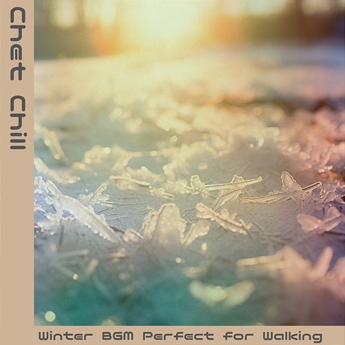 Winter Bgm Perfect for Walking Chet Chill