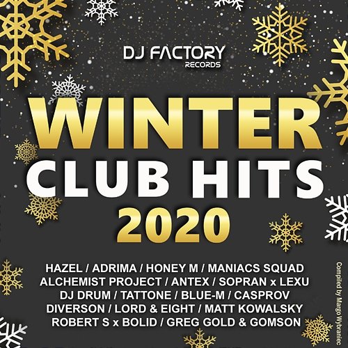 Winter Club Hits 2020 Various Artists