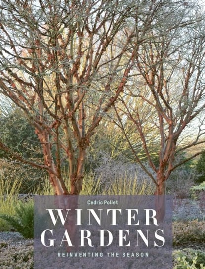 Winter Gardens: Reinventing the Season Pollet Cedric