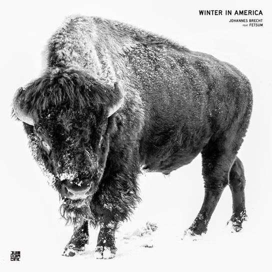 Winter In America [White], płyta winylowa Brecht Johannes, Fetsum