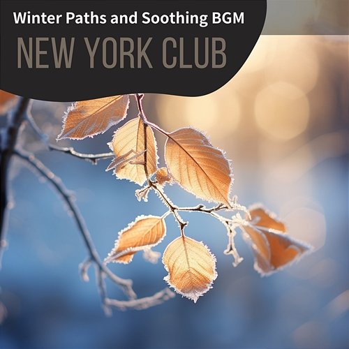 Winter Paths and Soothing Bgm New York Club