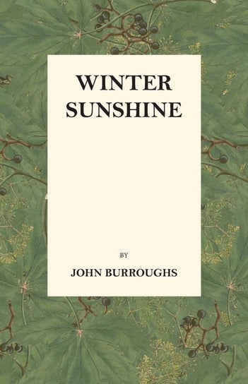 Winter Sunshine Burroughs John