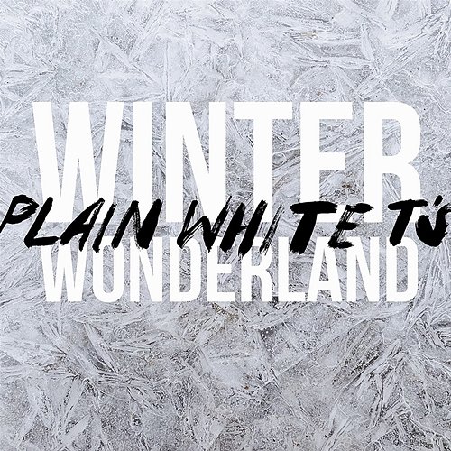 Winter Wonderland Plain White T's