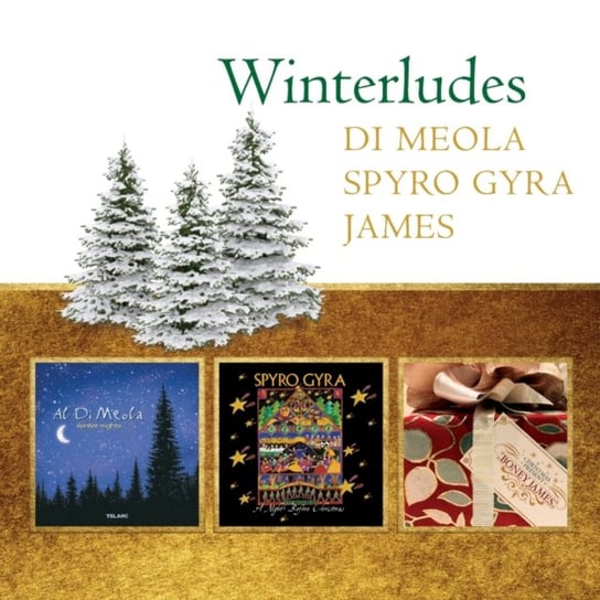 Winterludes Di Meola Al, James Boney, Spyro Gyra