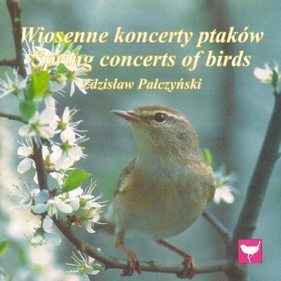 Wiosenne koncerty ptaków Odgłosy Natury