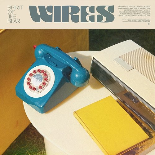Wires Spirit of the Bear
