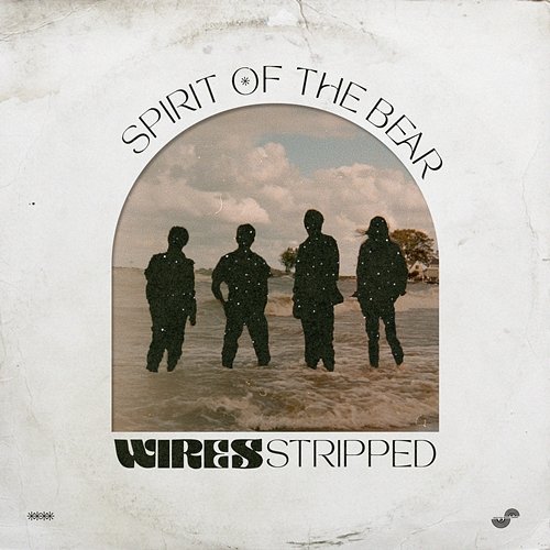 Wires Spirit of the Bear