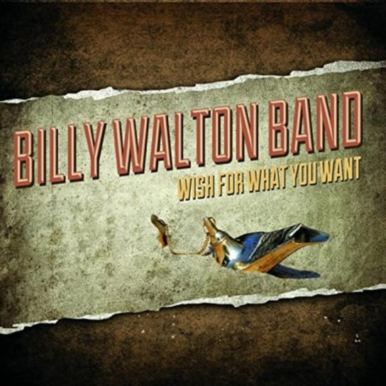 Wish for What You Want Billy Walton Band