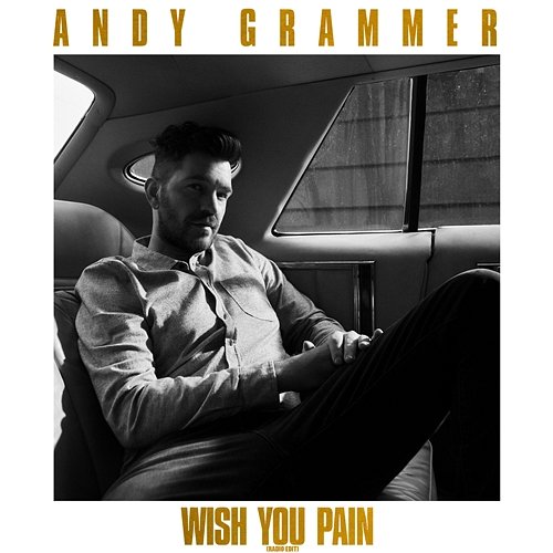Wish You Pain Andy Grammer