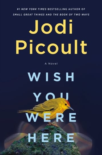 Wish You Were Here Picoult Jodi