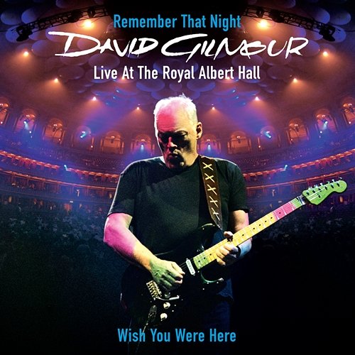 Wish You Were Here David Gilmour