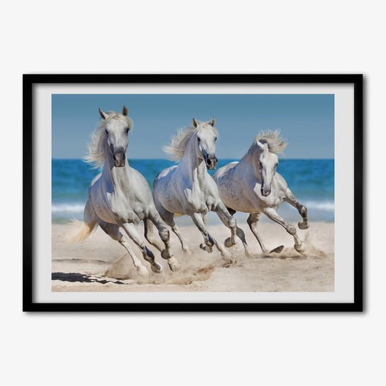 Wiszący obraz z ramką TULUP Białe konie plaża 70x50 cm Tulup