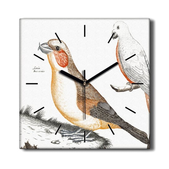 Wiszący zegar na płótnie Zwierzęta ptaki 30x30 cm, Coloray Coloray