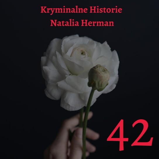 Witajcie po 2 latach - Natalia Herman Historie - podcast Natalia Herman