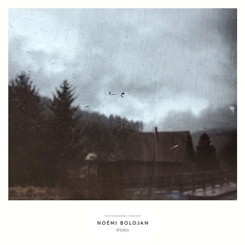 Within Noemi Bolojan