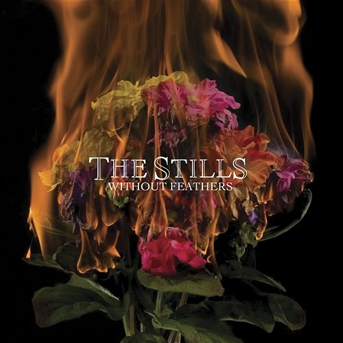 Without Feathers The Stills