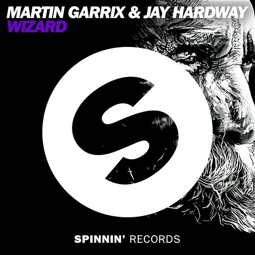 Wizard Martin Garrix & Jay Hardway