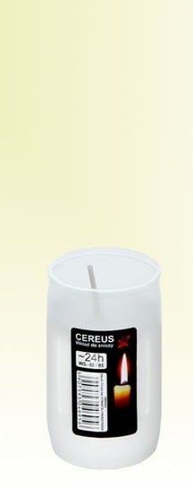 Wkład do zniczy olejowy Cereus 01 24 h Inna marka