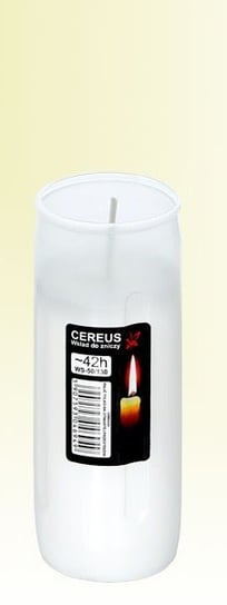 Wkład do zniczy olejowy Cereus 02 42 h Inna marka