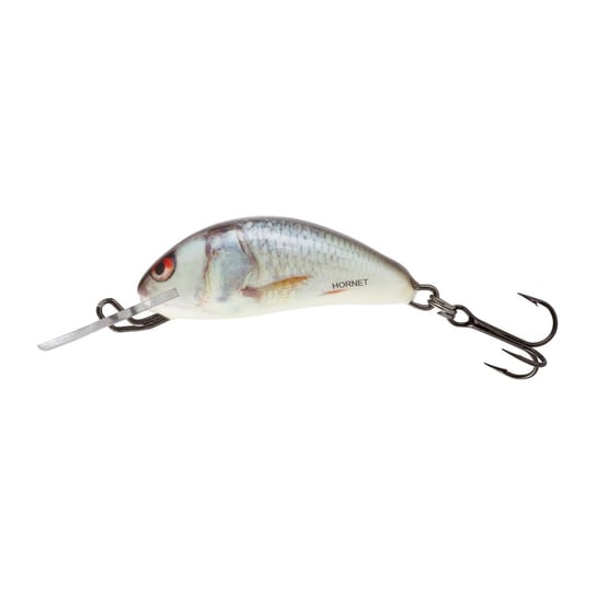 Wobler Salmo Hornet FL real dace QHT016 Salmo