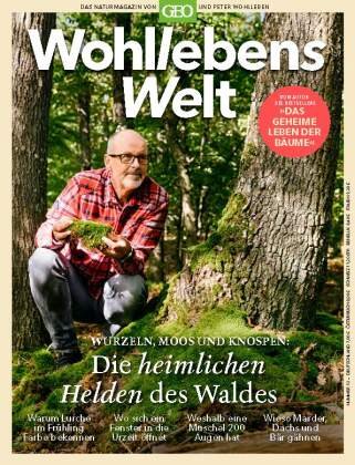 Wohllebens Welt / Wohllebens Welt 13/2022 - Die heimlichen Helden des Waldes MairDuMont