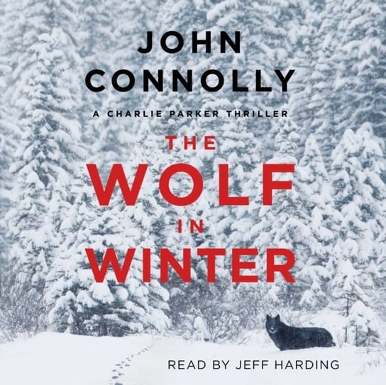Wolf in Winter Connolly John