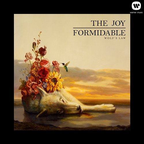 Wolf's Law The Joy Formidable