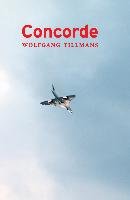 Wolfgang Tillmans. Concorde Tillmans Wolfgang