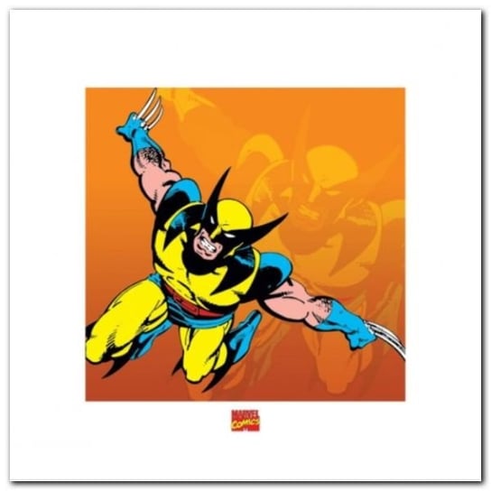 Wolverine plakat obraz 40x40cm Wizard+Genius