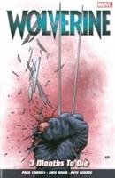 Wolverine Vol. 2: 3 Months To Die Cornell Paul