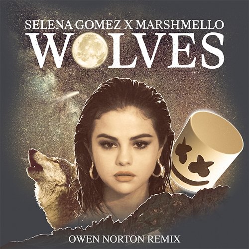 Wolves Selena Gomez, Marshmello