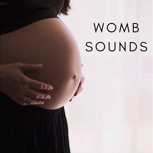 Womb sounds (Hair Dryer sound for babies) White Noise Guru