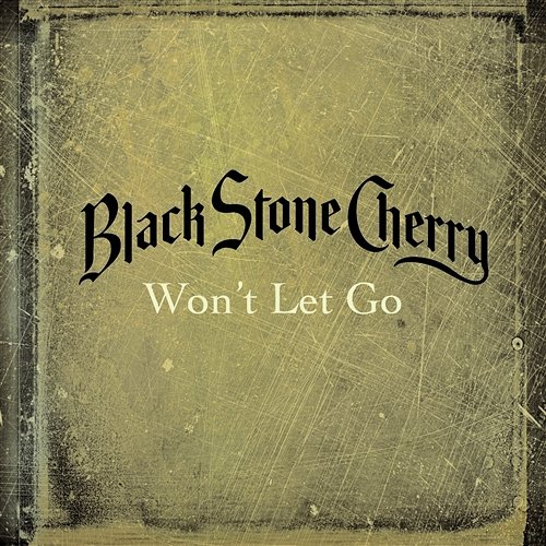 Won't Let Go Black Stone Cherry