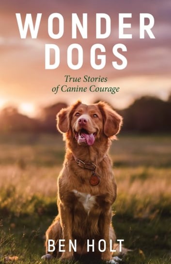 Wonder Dogs: Inspirational True Stories of Real-Life Dog Heroes That Will Melt Your Heart Ben Holt