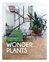 Wonder Plants Schampaert Irene