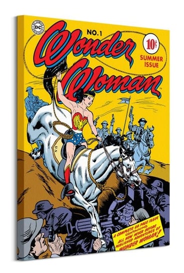 Wonder Woman Adventure  - obraz na płótnie DC COMICS